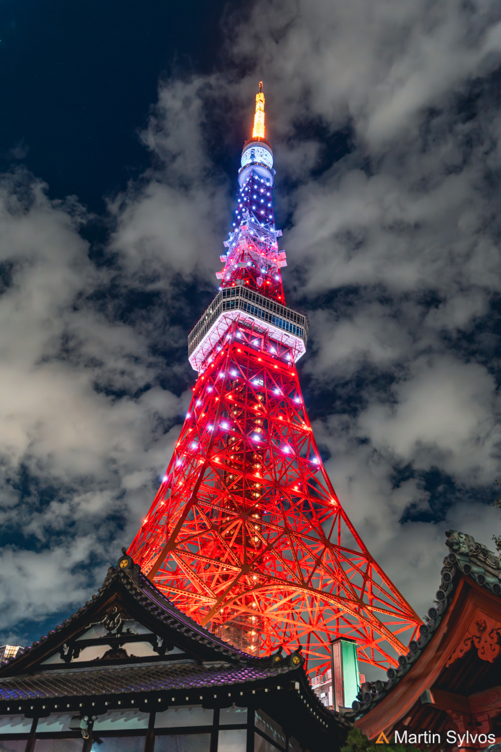 2025 Japon martin sylvos 41